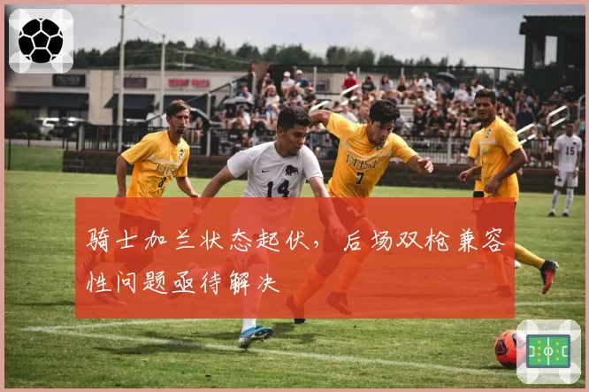 骑士加兰状态起伏，后场双枪兼容性问题亟待解决