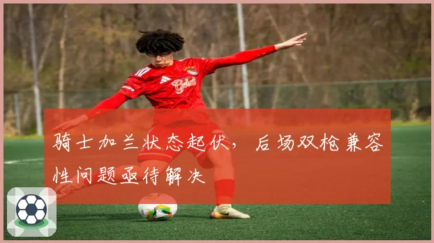 骑士加兰状态起伏，后场双枪兼容性问题亟待解决