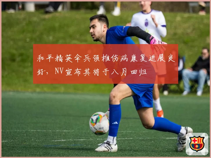 和平精英伞兵颈椎伤病康复进展良好，NV宣布其将于八月回归